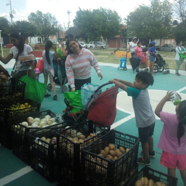 WhatsApp Image 2024-08-10 at 4.36.01 PM